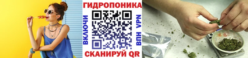Конопля SATIVA & INDICA  наркошоп  Знаменск 